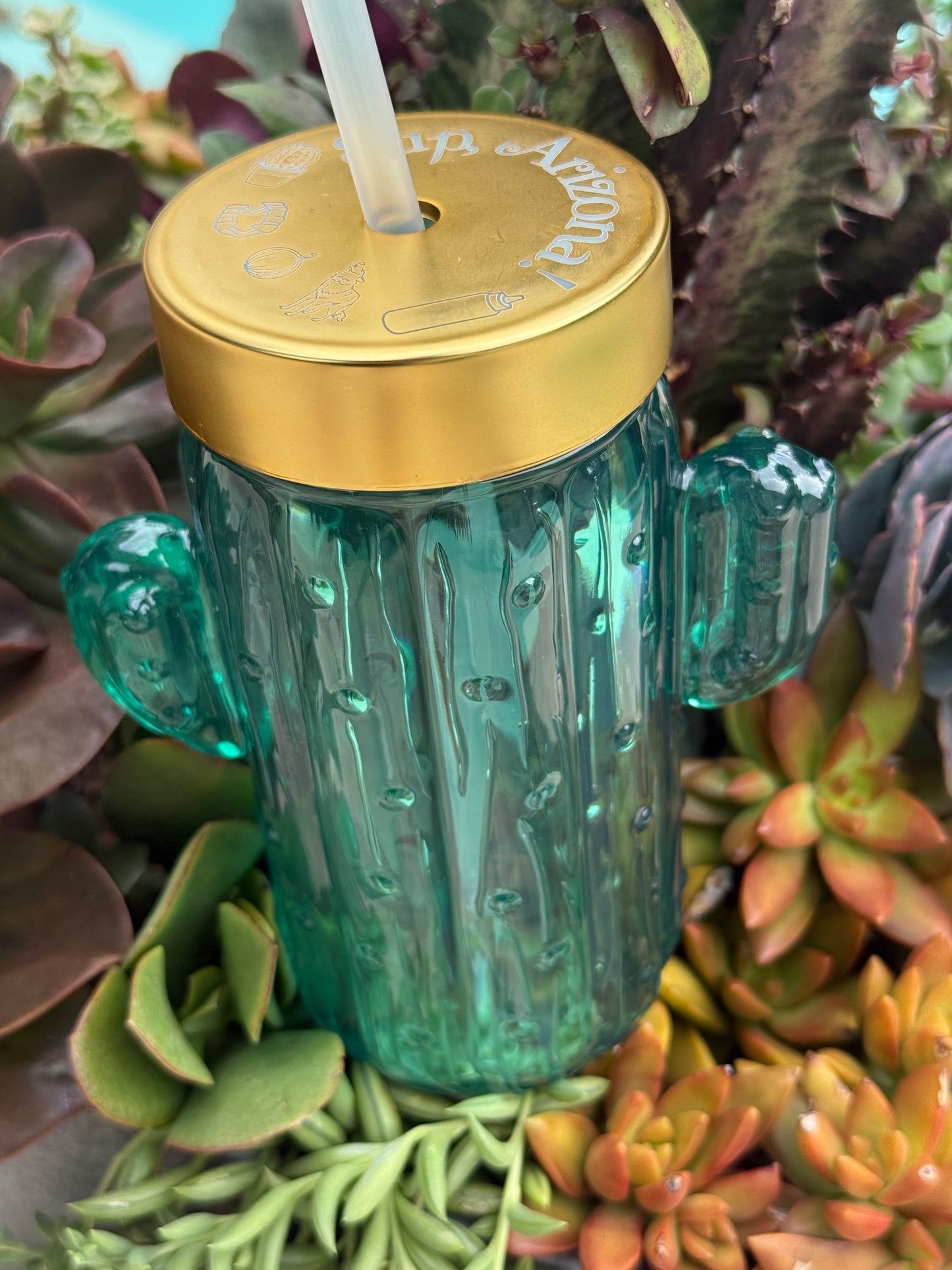 Saguaro Sipper